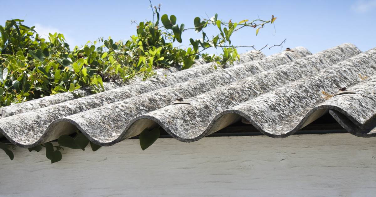 Asbestos information obligation officially in force, but are there enough experts?